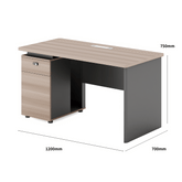 Shine-B Wooden Office Small Manager Desk with Storage Cabinet
